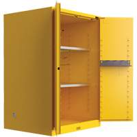 Armoire de s&eacute;curit&eacute; pour produits inflammables Utili-Guard+, 45 gal., 2 Porte(s), 43" La x 65" h x 22" p The Estey Group