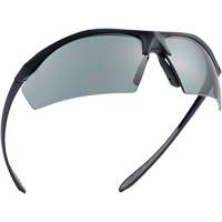 Sentinel Ballistic Protection Safety Glasses, Smoke Lens, Anti-Fog/Anti-Scratch/Polarized, ANSI Z87+ The Estey Group