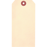 Manila Blank Tags, Cardstock, 3-1/8" W x 6-1/4" H The Estey Group