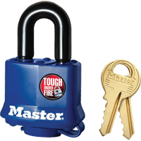 Cadenas r&eacute;sistant aux intemp&eacute;ries, Cl&eacute;s diff&eacute;rentes, Acier lamin&eacute;, Largeur de 1-9/16" The Estey Group