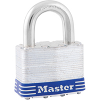 Cadenas &agrave; goupilles, Cl&eacute;s identiques, Acier lamin&eacute;, Largeur de 1-3/4" The Estey Group
