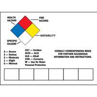 Blank Write-On Container Label, Vinyl, Sheet, 10" L x 7" W The Estey Group