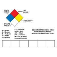 Blank Write-On Container Label, Vinyl, Sheet, 14" L x 10" W The Estey Group