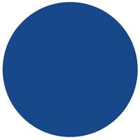 &eacute;tiquettes rondes inscriptibles, Cercle, 1,5" lo x 1,5" la, Bleu The Estey Group
