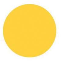 &eacute;tiquettes rondes inscriptibles, Cercle, 3" lo x 3" la, Jaune The Estey Group