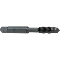 Taraud &agrave; entr&eacute;e h&eacute;licoidale, Acier rapide au cobalt, Filet de 8-32, 2-1/8" l The Estey Group