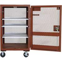 Mobile Mesh Cabinet, Steel, 22 Cubic Feet, Red The Estey Group