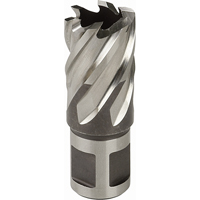 Annular Cutters