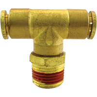 P.T.C. Swivel Male Branch Tees, Brass, 1/8" The Estey Group