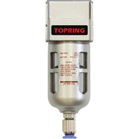 Filtreurs, Modulaire, 1/4" NPT, Drain Semi-automatique, Pour Eau The Estey Group