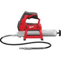 Pistolet graisseur sans fil M12 (outil seulement), Lithium-ion, 12 V The Estey Group