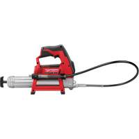 Pistolet graisseur sans fil M12 (outil seulement), Lithium-ion, 12 V The Estey Group