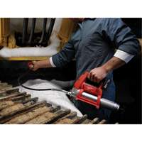 Pistolet graisseur sans fil M12 (outil seulement), Lithium-ion, 12 V The Estey Group