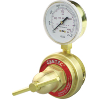 Medium-to-Heavy-Duty Pipeline Regulator, Acetylene, 1/4" NPT(F) Port Inlet The Estey Group