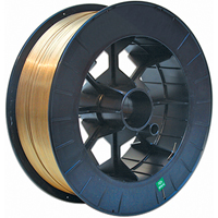 Fils fourr&eacute;s &agrave; protection gazeuse en acier inoxydable, Dia. 0,045", 309LT1-1, 25 lb The Estey Group
