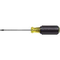 Tournevis Torx (MD)