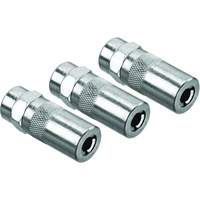 Coupleurs du pistolet graisseur robuste 3,1 mm (1/8 po) NPT The Estey Group