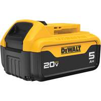 Bloc-piles Max XR Premium, Lithium-ion, 20 V, 5 A The Estey Group