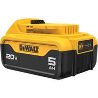 Bloc-piles Max XR Premium, Lithium-ion, 20 V, 5 A The Estey Group