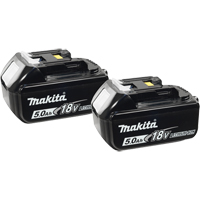 Batteries, Lithium-Ion, 18 V, 5.0 A The Estey Group