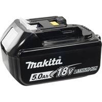 Battery, Lithium-Ion, 18 V, 5.0 A The Estey Group