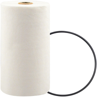 P7247 Spin-On Coolant Filter with BTE Formula The Estey Group