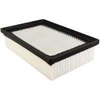 PA5314 &eacute;l&eacute;ment de filtre &agrave; air pour habitacle The Estey Group