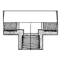 Female Pipe Tees, Brass, 1/8" The Estey Group