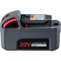 IQV20 High Capacity Battery, Lithium-Ion, 20 V, 5 Ah The Estey Group