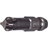 ACR&reg; Power Bit, Phillips, #2 Tip, 1/4" Drive Size, 3-1/2" Length The Estey Group