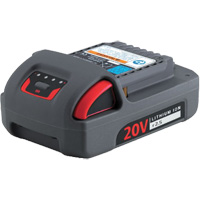 IQV20 Series Battery, Lithium-Ion, 20 V, 2.5 Ah The Estey Group