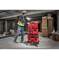 Coffre &agrave; outils compact Packout, 10" x 16-1/5" x 13", Noir/Rouge The Estey Group