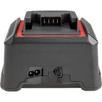 2.5 Ah & 5.0 Ah Battery Charger, 120 V, Lithium-Ion The Estey Group