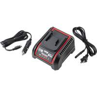 2.5 Ah & 5.0 Ah Battery Charger, 120 V, Lithium-Ion The Estey Group
