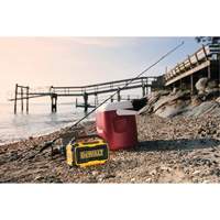 Haut-parleur Max Bluetooth pour chantier (outil seulement), Lithium-ion, 12 V/20 V The Estey Group