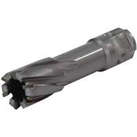 Universal Shank Annular Cutter, 1/2" Diameter, Carbide, 1" Depth of Cut, 3/4" Shank The Estey Group
