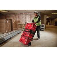 Packout XL Cooler The Estey Group
