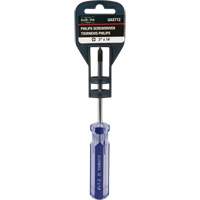 Tournevis Philips bleu transparent avec bandes, #1, Prise Plastique The Estey Group