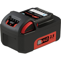 Battery, Lithium-Ion, 40 V The Estey Group