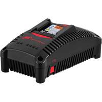 Chargeur de batterie IQV40, 40 V, Lithium-ion The Estey Group
