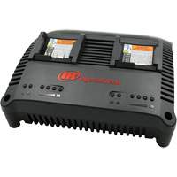 Chargeur universel s&eacute;rie IQV, 12 V/20 V, Lithium-ion The Estey Group