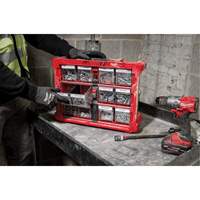 PACKOUT Tilt Bin Organizer, 15-1/5" x 19-7/10" x 6-7/10", Black/Red The Estey Group