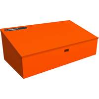 RAILWORKS Top Shelf Lockable Angled Workstation The Estey Group