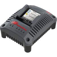 IQV20 Compact Battery Charger, 20 V, Lithium-Ion The Estey Group