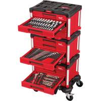 366-Piece Master Mechanics Hand Tool Set with PACKOUT Drawers & Dolly, 16-3/10" x 22-1/5" x 48-5/8", Black/Red The Estey Group