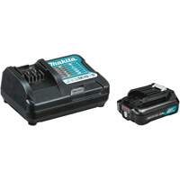 12Vmax CXT 2 Ah Battery & Standard Charger Starter, 12 V, Lithium-Ion The Estey Group