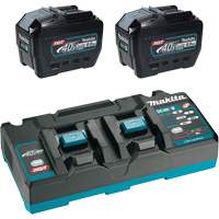 XGT Dual Port Rapid Charger Starter Kit with (2) 8 Ah Batteries, 40 V, Lithium-Ion The Estey Group