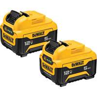 Max* Battery Packs, Lithium-Ion, 12 V, 5 Ah The Estey Group
