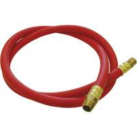 Tuyau de raccordement pour d&eacute;vidoir de tuyau, Air, Caoutchouc EDPM, 1/2" dia. x 5', 300 psi, 1/2 NPT The Estey Group