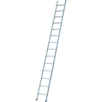 Industrial Heavy-Duty Extension/Straight Ladders, 8', Aluminum, 300 lbs., CSA Grade 1A The Estey Group